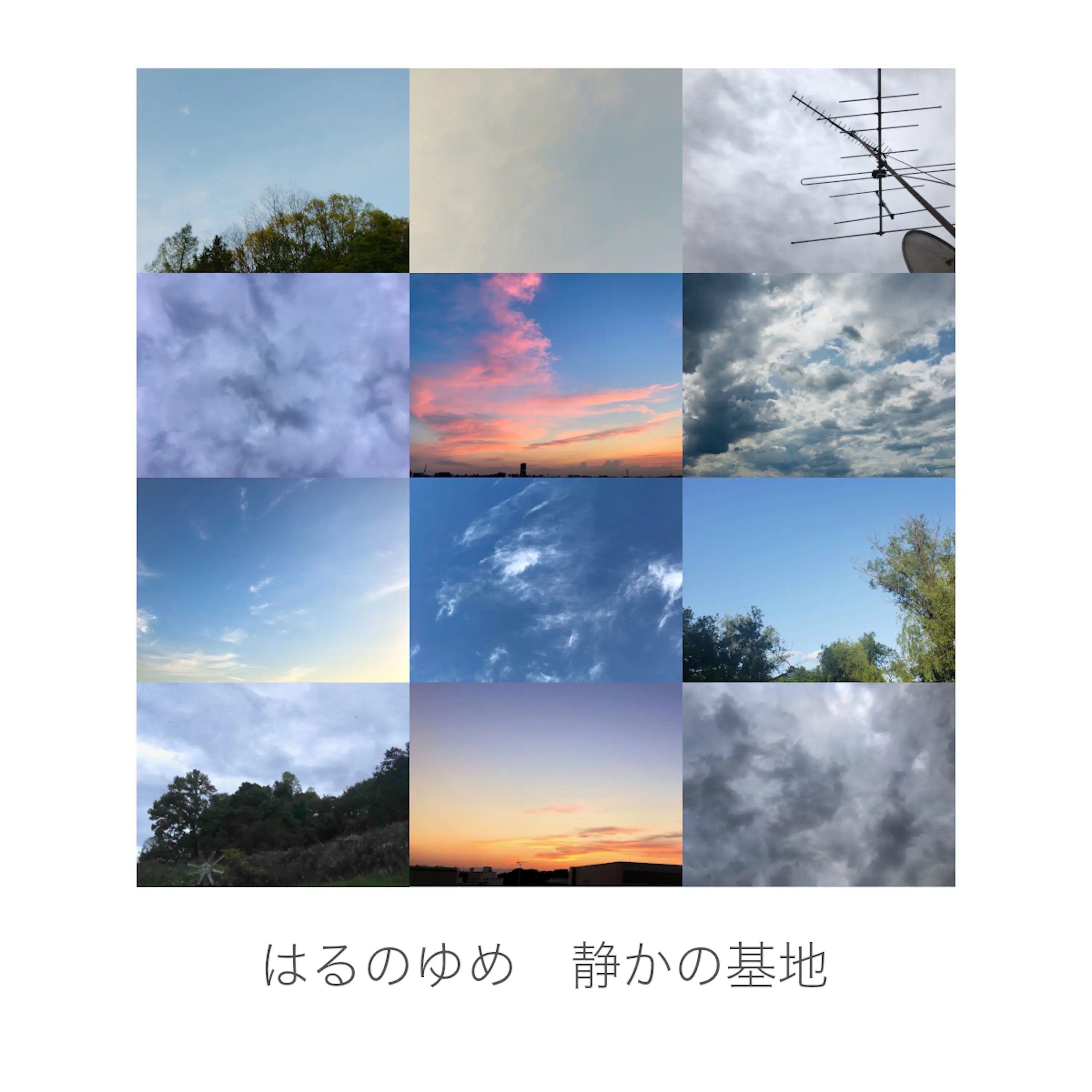 はるのゆめ